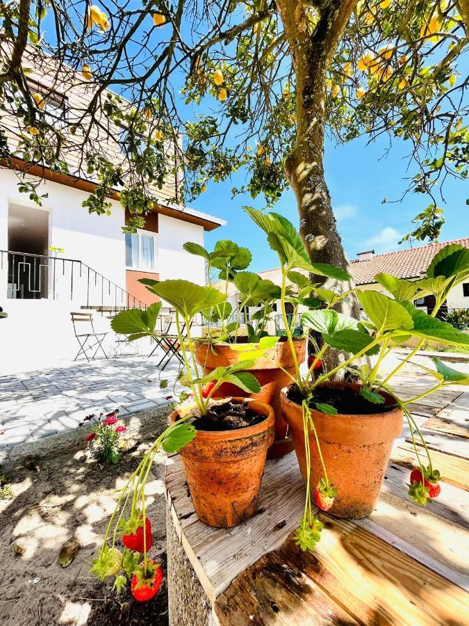 Hostel Do Alto - Fao Esposende Exteriér fotografie